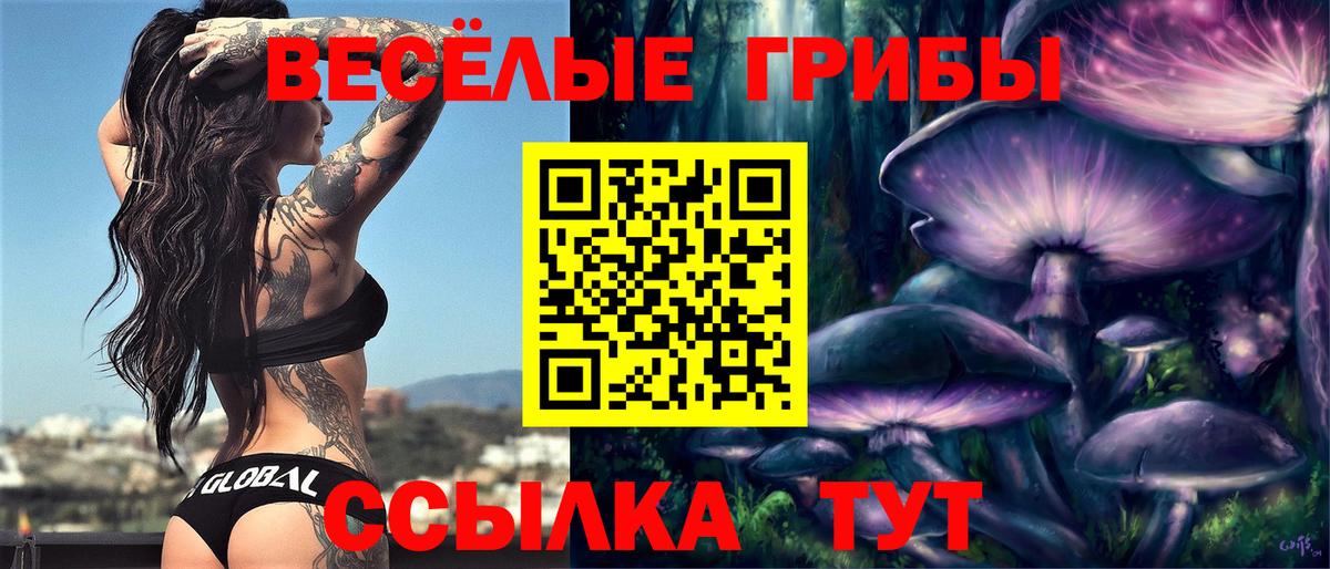 Галлюциногенные грибы Cubensis Гуково